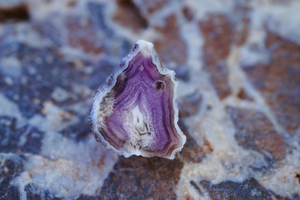 5 Stunning Ways Designers Use Calacatta Viola Marble 1