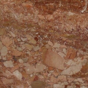 Breccia Pernice 2 Sample